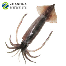 Manufactory price todarodes pacificus squid 300-400g